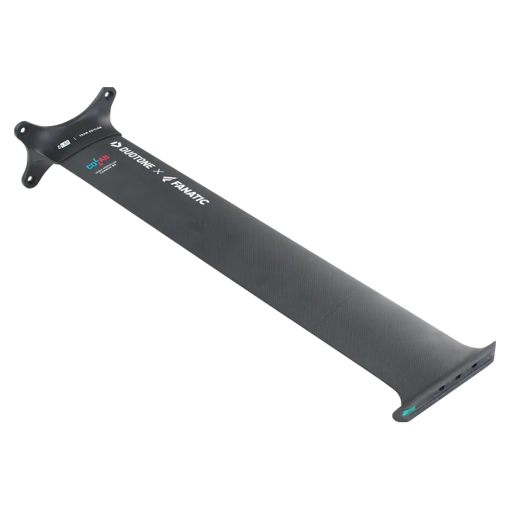 Fanatic Mast Carbon TE