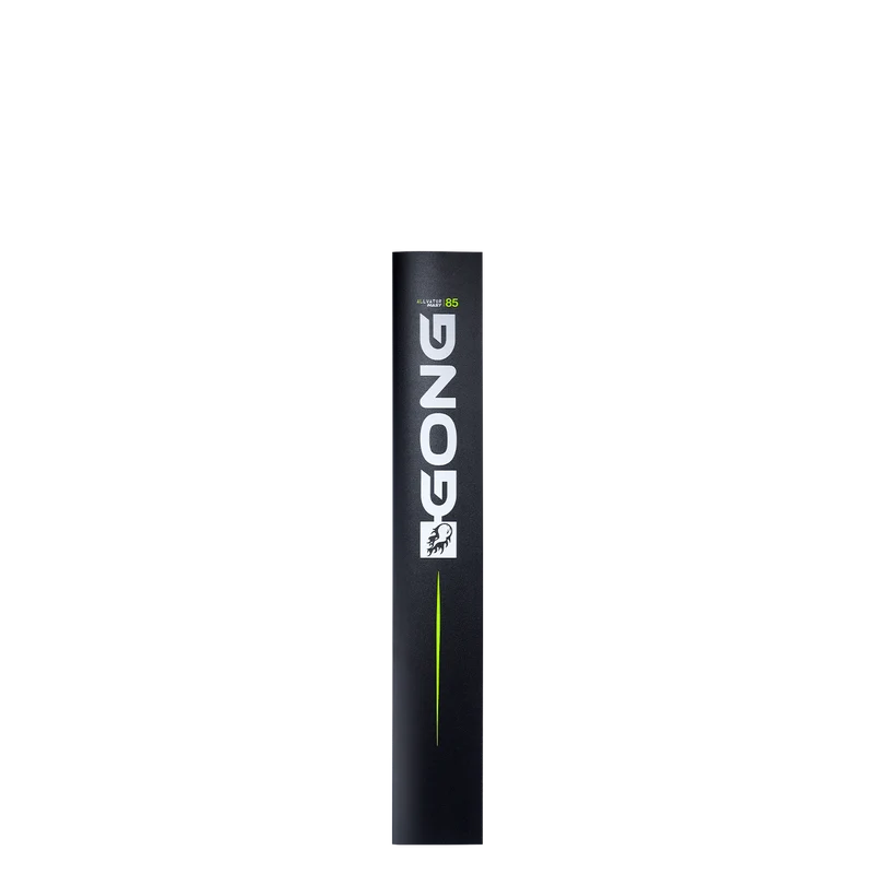 GONG Alu Mast V2
